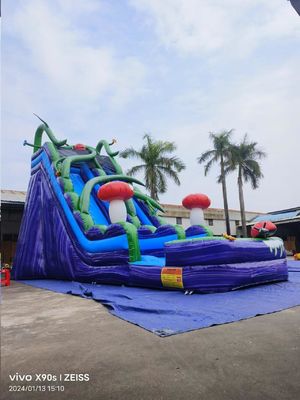 Parete di marmo Regno dei funghi scivoli gonfiabili con piscina