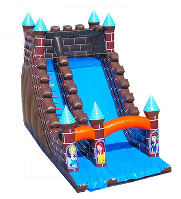 Grande Muraglia Principessa della Neve Inflatabile Slide And Slide Noleggio