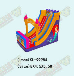 Parco giochi per bambini Disneyland Princess Slide gonfiabile
