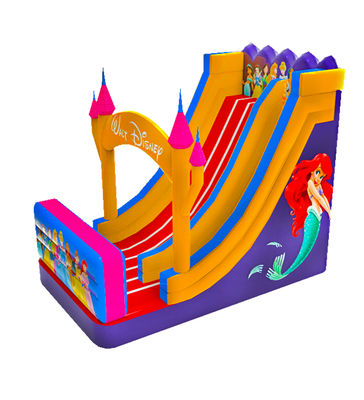Parco giochi per bambini Disneyland Princess Slide gonfiabile