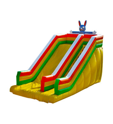 Conigli Bambini Parco di divertimenti Animali gonfiabili Scivolo A Noleggio