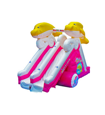 Dolphin Double Lane Slide gonfiabile per bambini Parco divertimenti