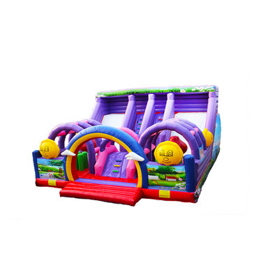 Personalizzare Large due corsie di scivoli viola gonfiabile Bouncer Slide