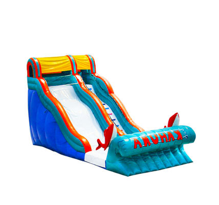 Slide gonfiabile personalizzabile con colori vivaci Parchi di divertimento