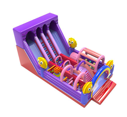 Scivolo gonfiabile con tema elefante per bambini Parco divertimento