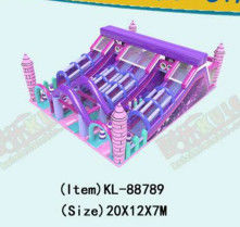 Purple Large Slide Bambini Parco divertimento Parco giochi gonfiabile