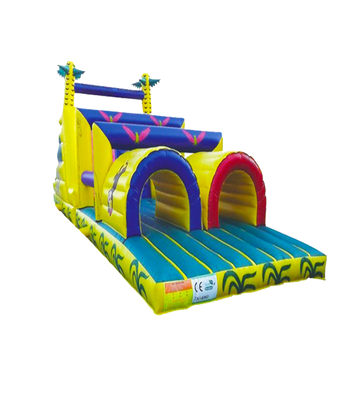Casa gonfiabile per bambini: divertimento, allegria e vivace gioco!